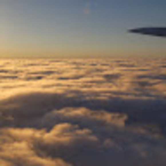 Meet your Posher, Chris - Picture 1 of 1